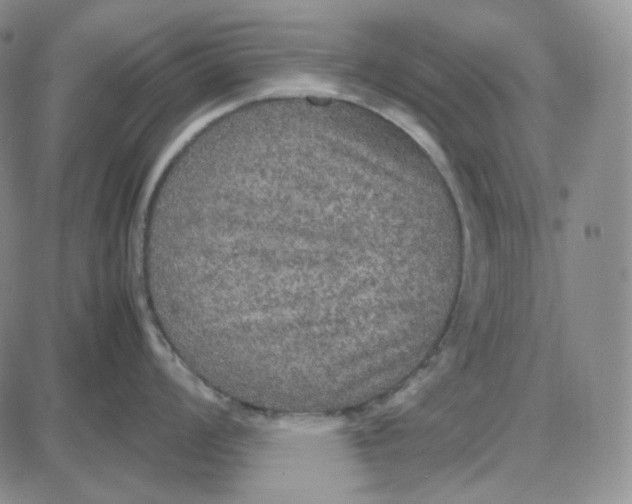 X0000087641008200705241235