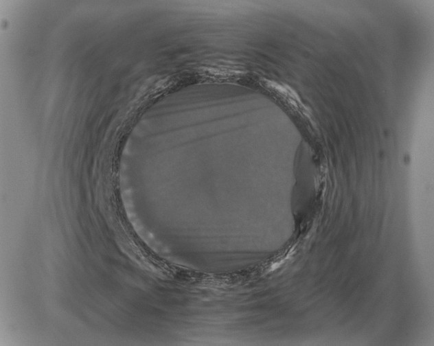 X0000087641009200705241234