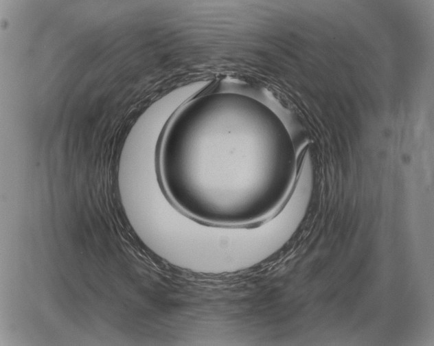 X0000087641010200705241234