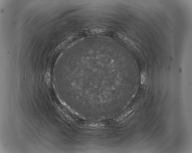 X0000087641011200705241234