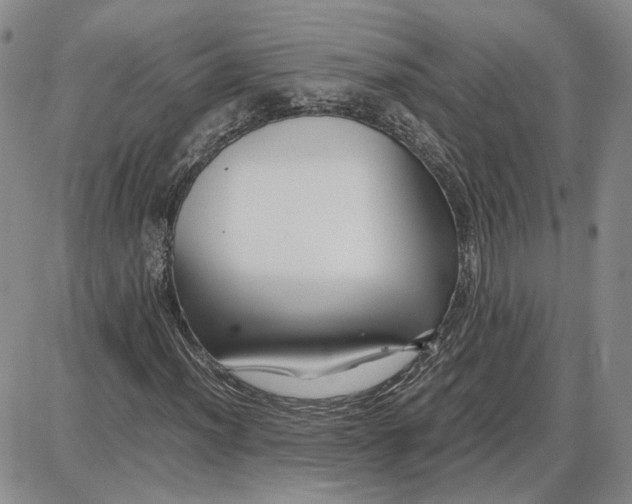 X0000087641012200705241234