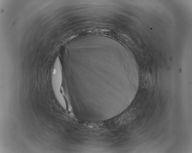 X0000087641013200705241234