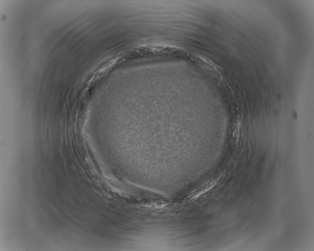 X0000087641014200705241234