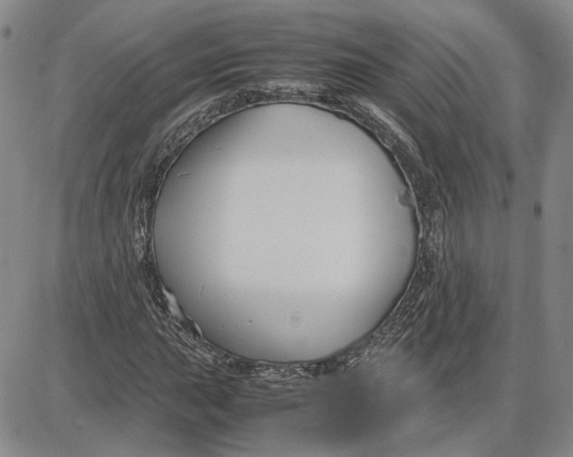 X0000087641015200705241234