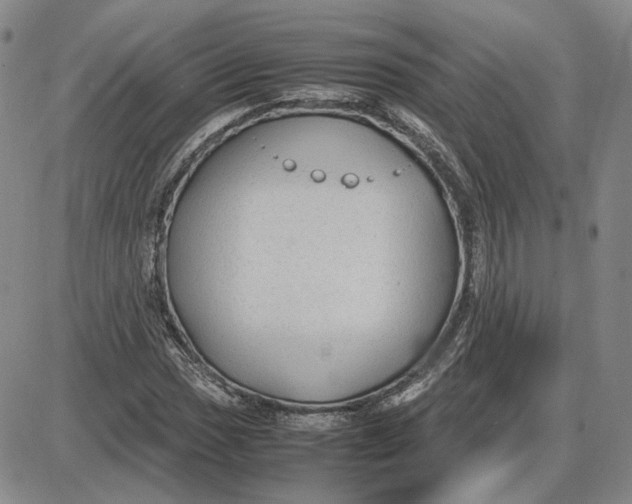 X0000087641017200705241234