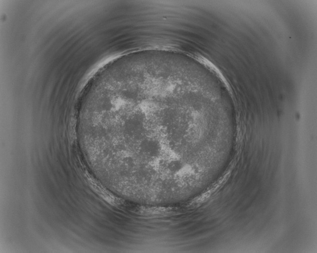 X0000087641019200705241234