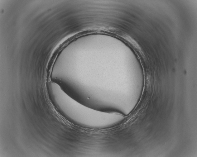 X0000087641020200705241234