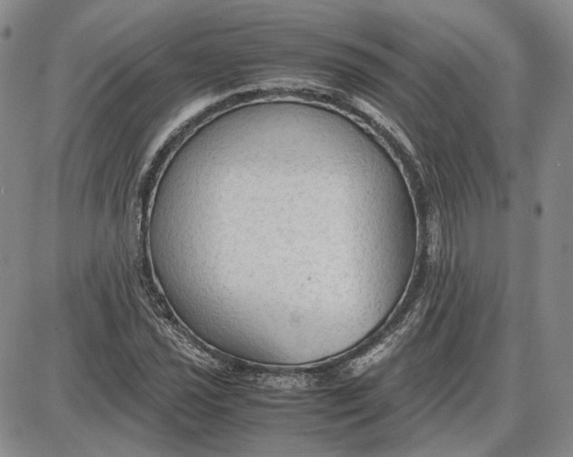 X0000087641021200705241234