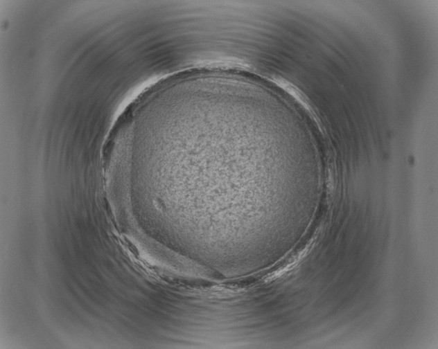 X0000087641022200705241234