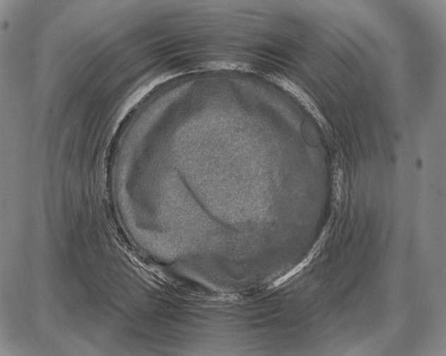 X0000087641023200705241234