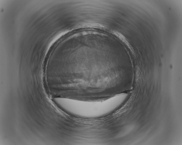 X0000087641024200705241234