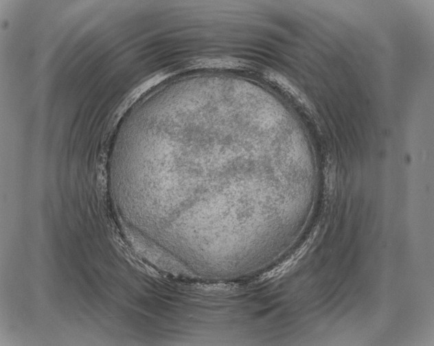 X0000087641025200705241234