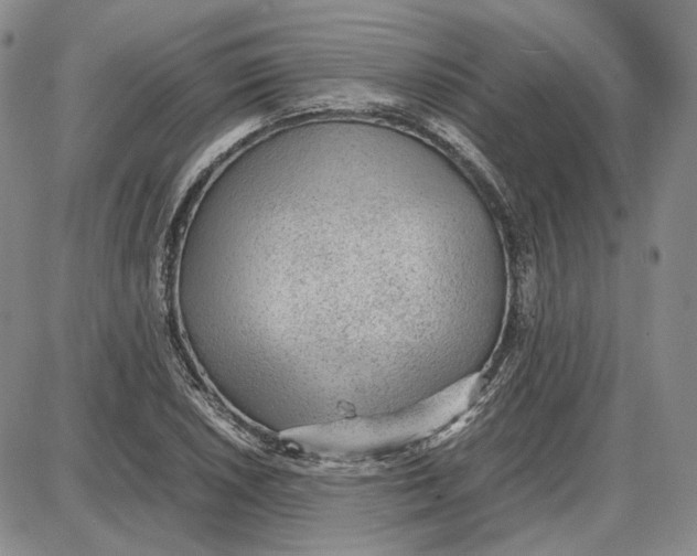 X0000087641026200705241234