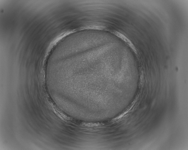 X0000087641027200705241234