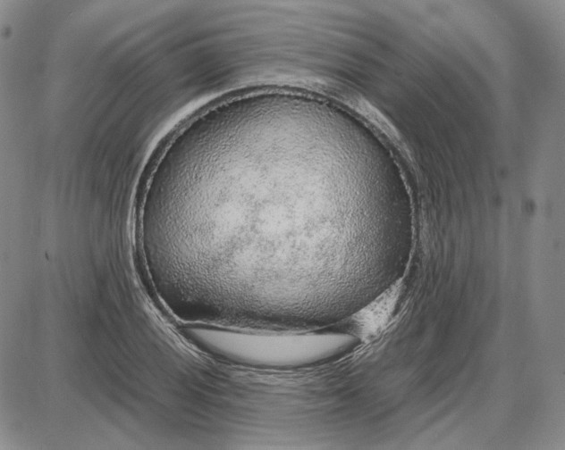 X0000087641028200705241234