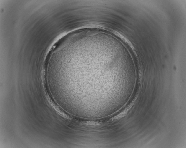 X0000087641029200705241234