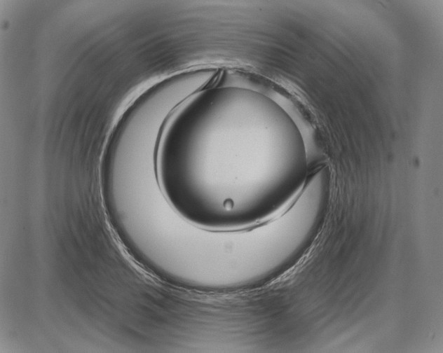 X0000087641030200705241234