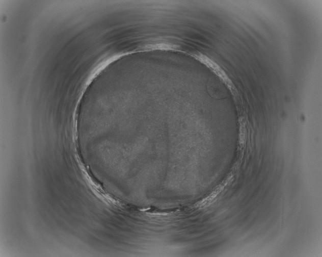 X0000087641031200705241234