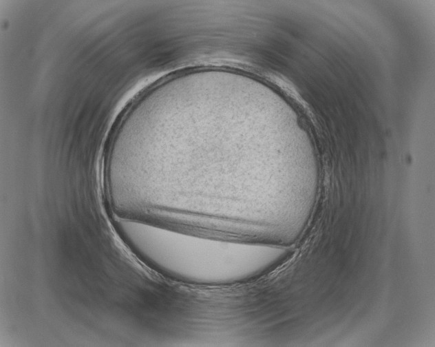 X0000087641032200705241234