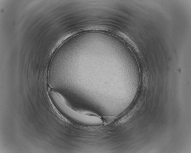 X0000087641033200705241235