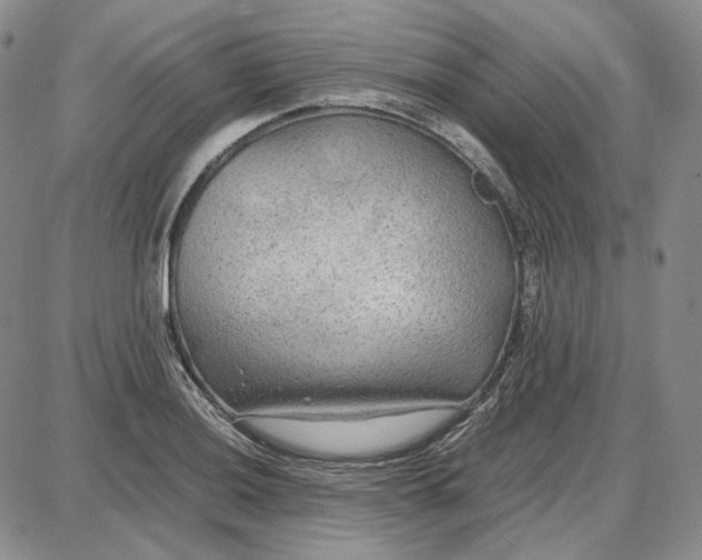 X0000087641036200705241235