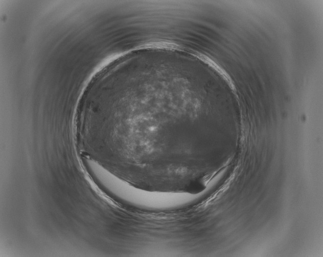 X0000087641037200705241235