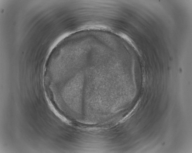 X0000087641038200705241235