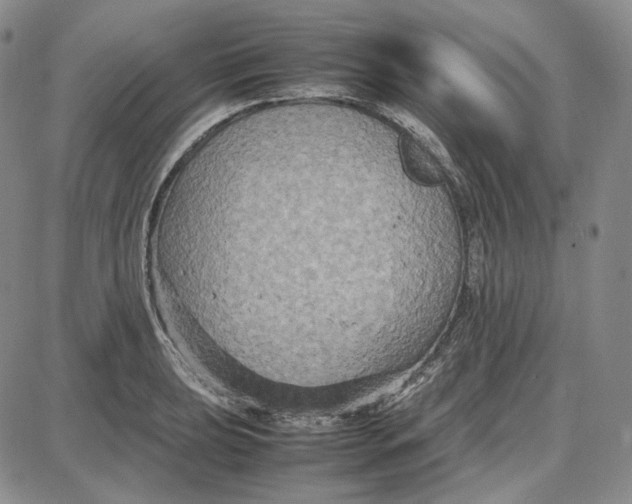 X0000087641039200705241235