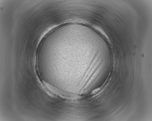 X0000087641040200705241235