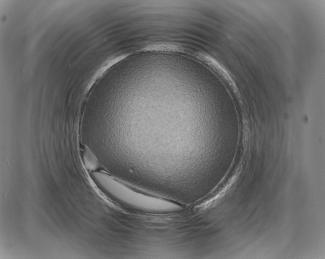 X0000087641041200705241235