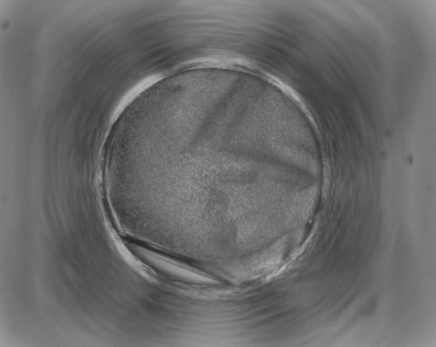 X0000087641042200705241235