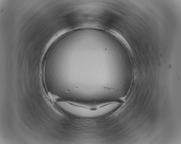 X0000087641043200705241235