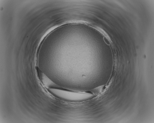 X0000087641044200705241235