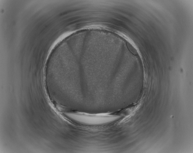 X0000087641045200705241235