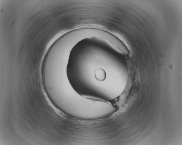 X0000087641046200705241235