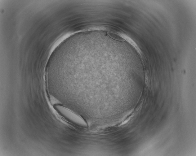 X0000087641047200705241235