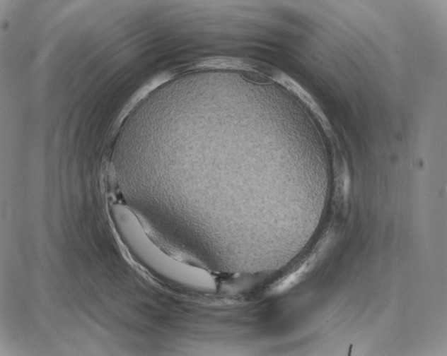 X0000087641049200705241235