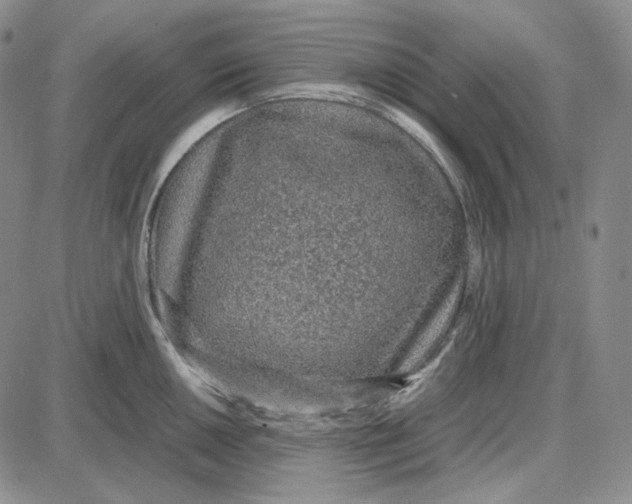 X0000087641050200705241235