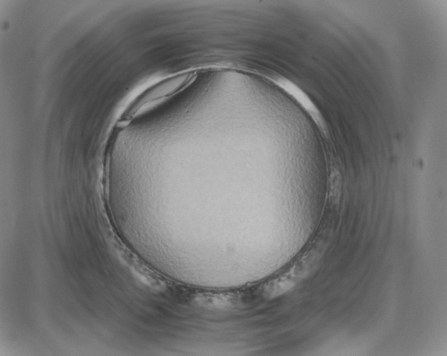 X0000087641051200705241235