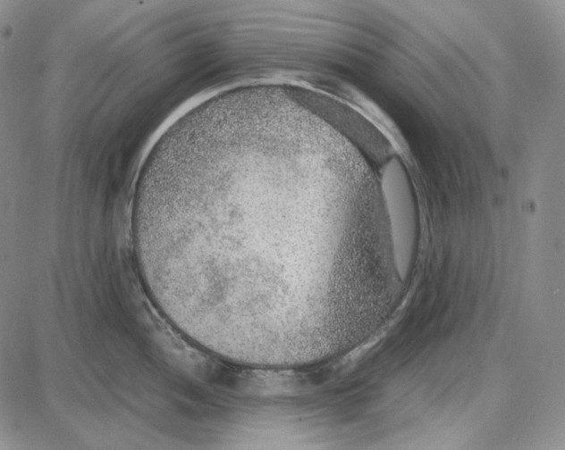 X0000087641052200705241235