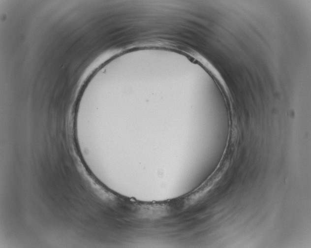 X0000087641053200705241235