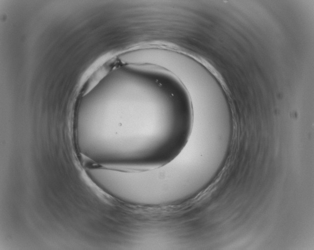 X0000087641054200705241235