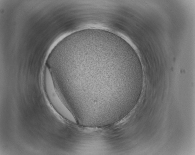 X0000087641056200705241235