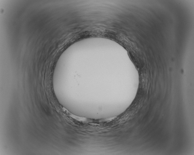 X0000087641057200705241234