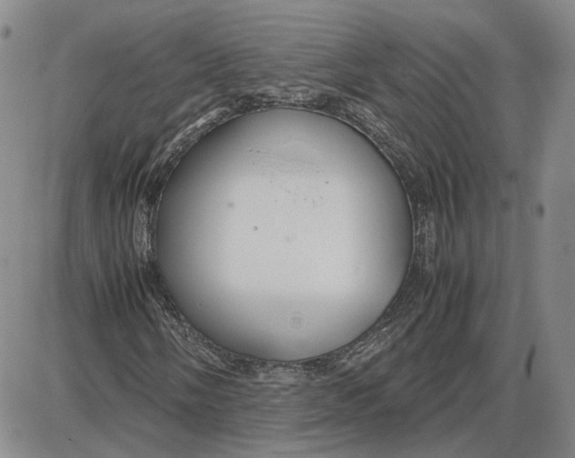 X0000087641058200705241234