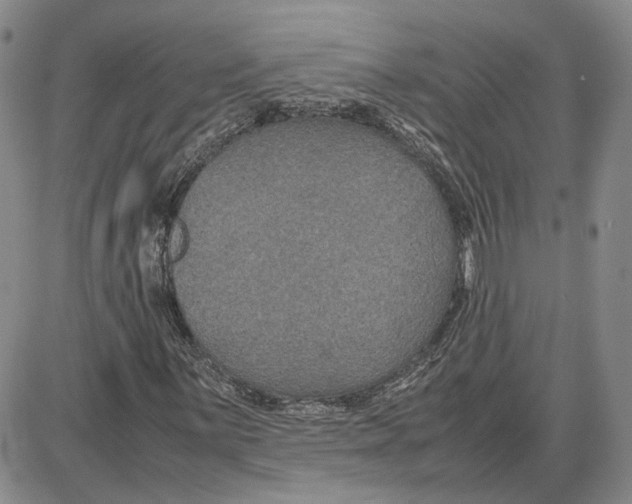 X0000087641059200705241234