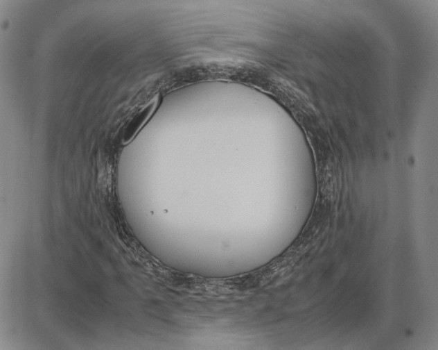 X0000087641061200705241234