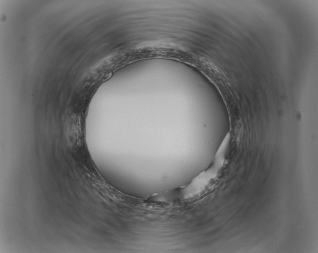 X0000087641062200705241234