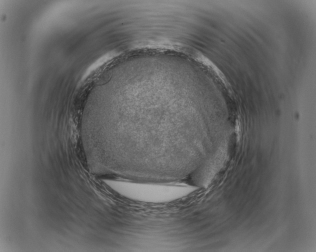 X0000087641064200705241234