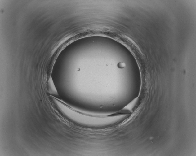 X0000087641065200705241234